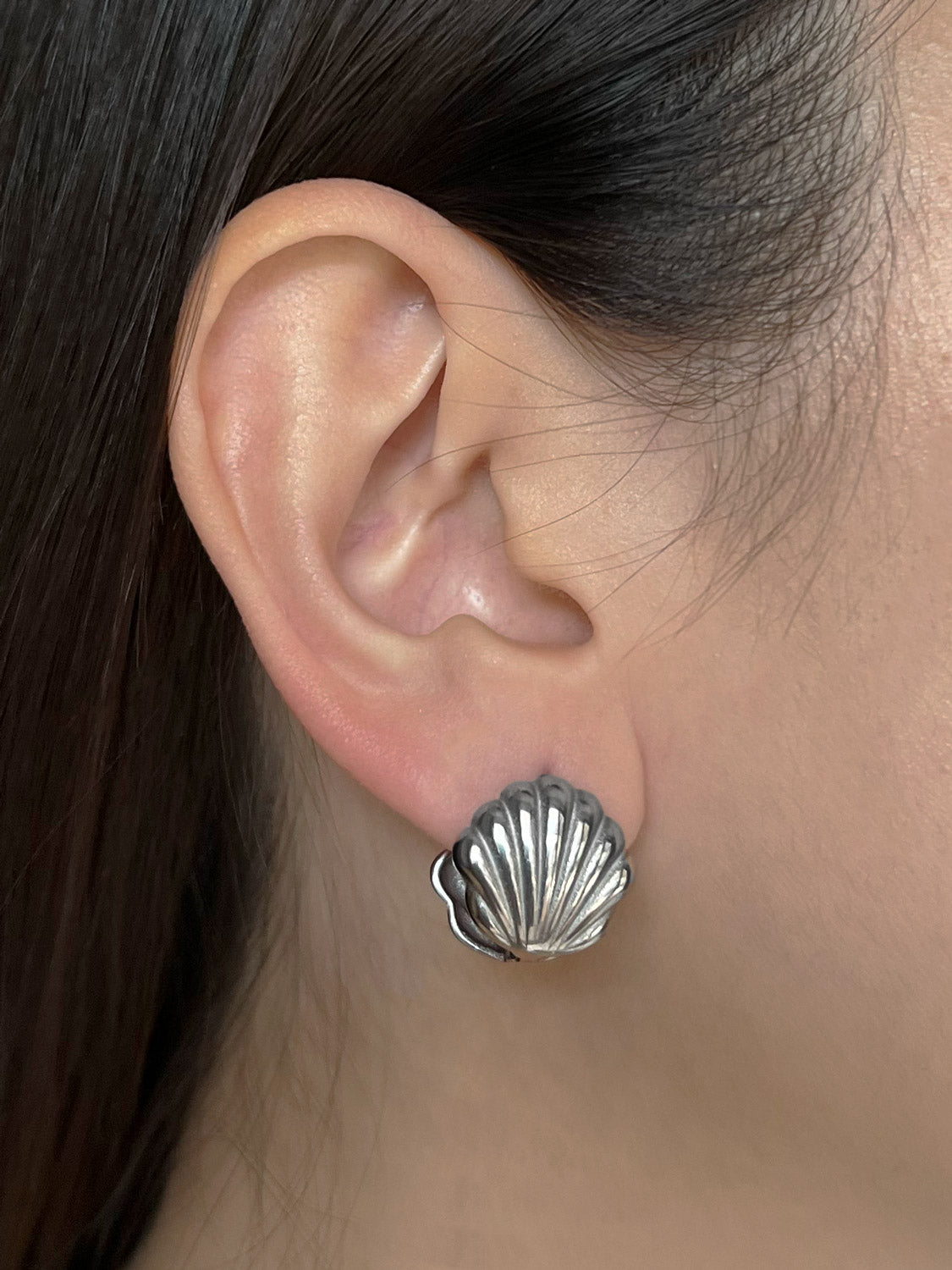 Seashell Earrings - Stainless Steel, Silver