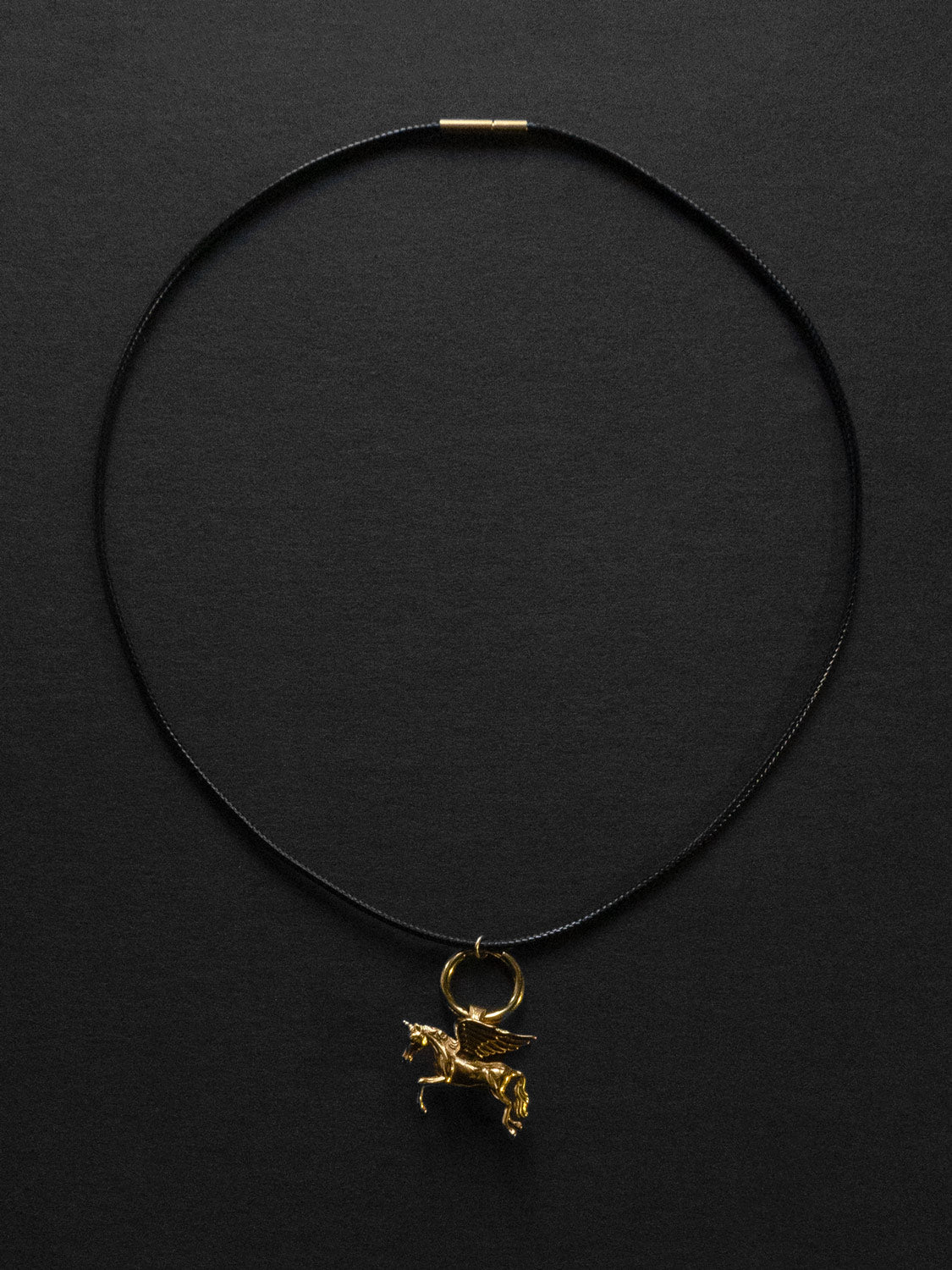 Cord Necklace - Pegasus