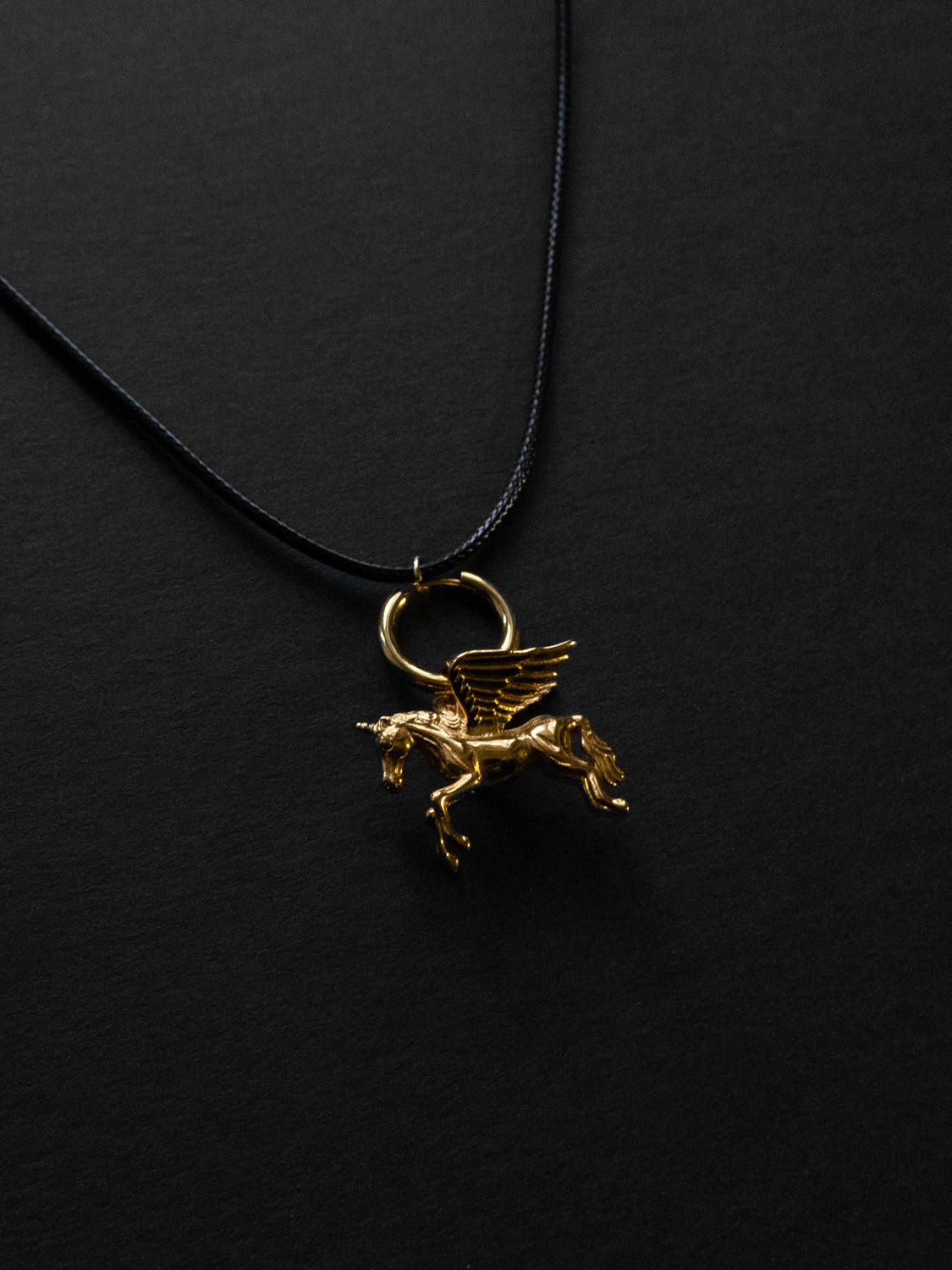 Cord Necklace - Pegasus