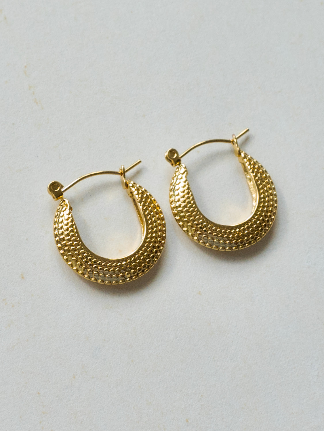 Dotted Gold Hoops   Stainless Steel  Gold1