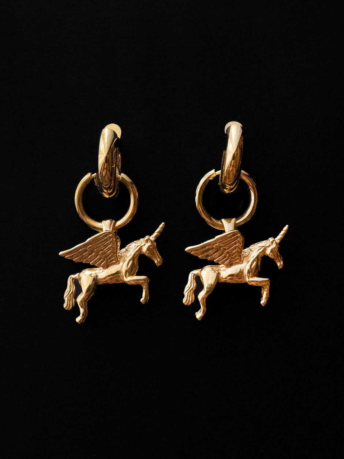 Pegasus Chunky Gold Hoops dark