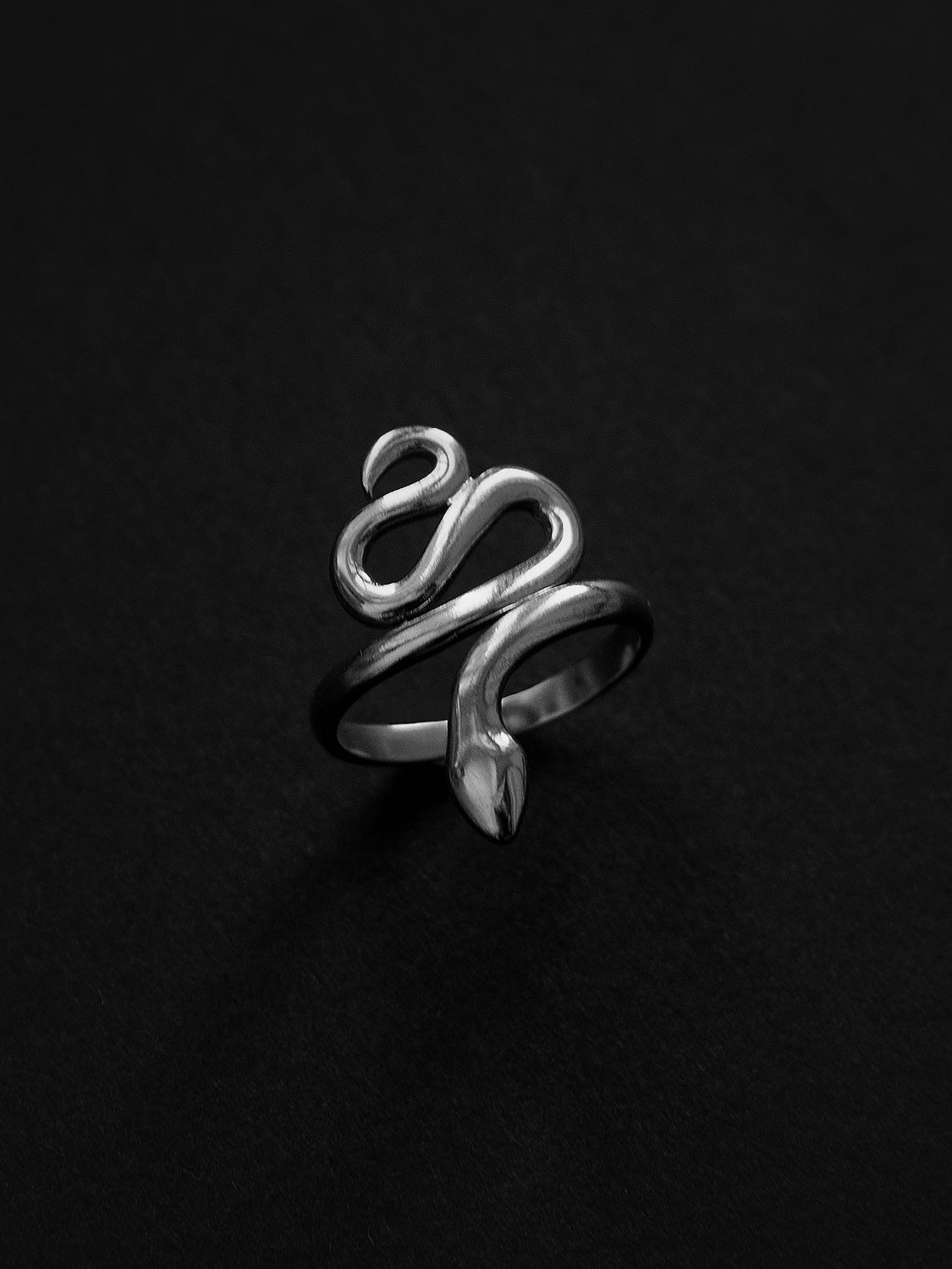 Serpent Ring   Silver2