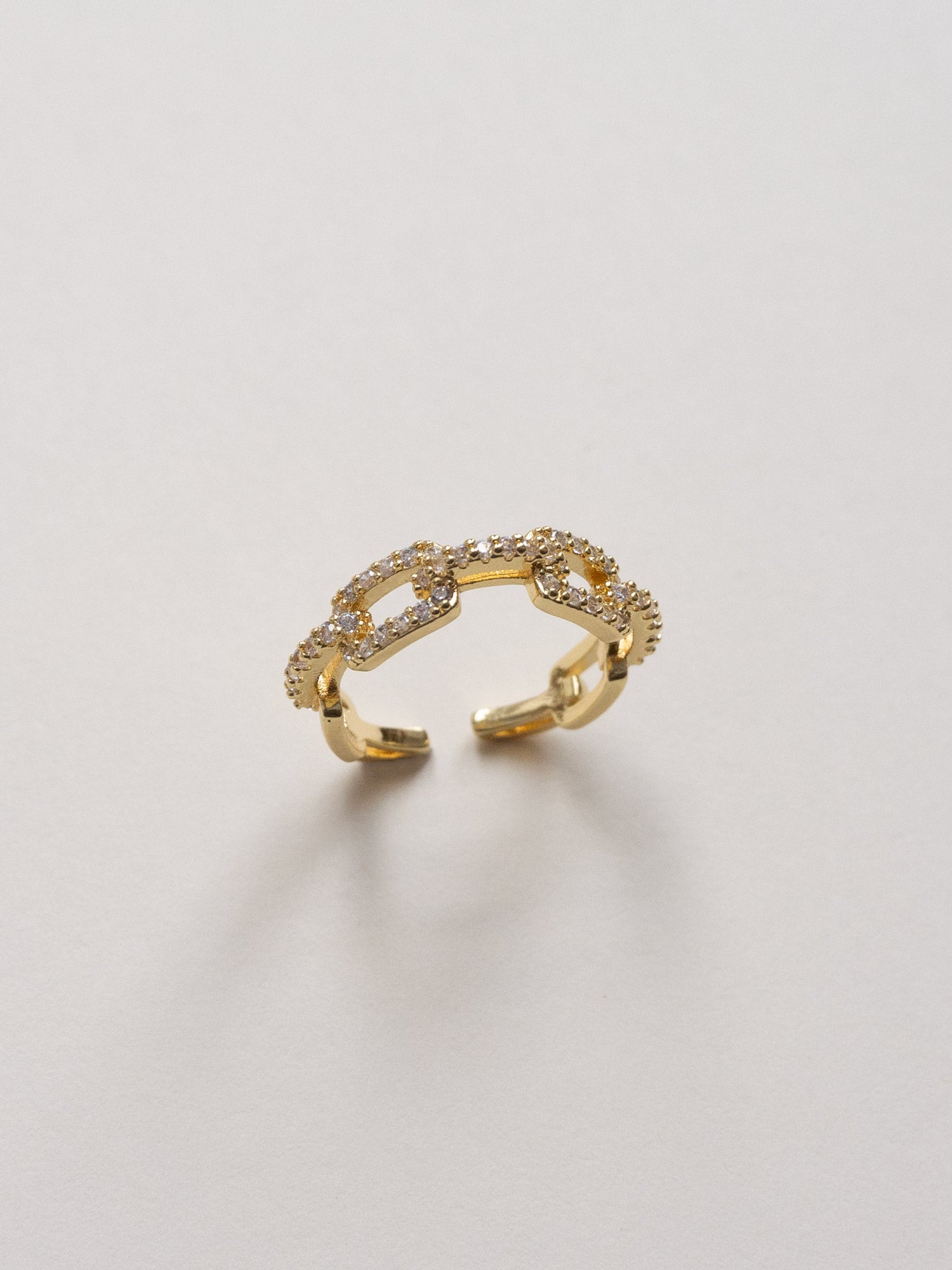chain ring2